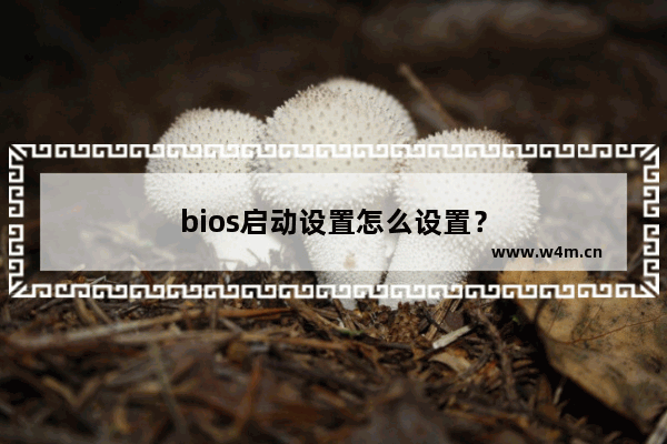 bios启动设置怎么设置？