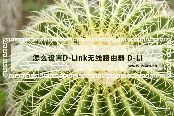 怎么设置D-Link无线路由器 D-Link无线路由器设置方法【图解】