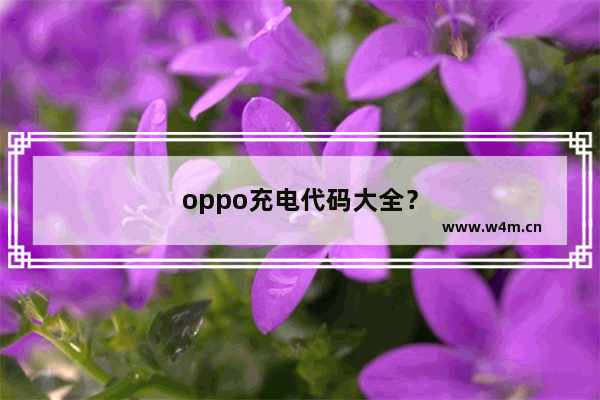 oppo充电代码大全？