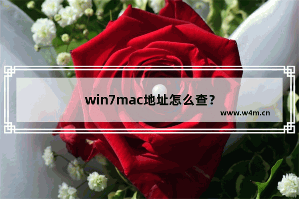 win7mac地址怎么查？