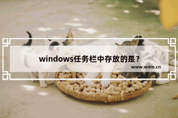 windows任务栏中存放的是？