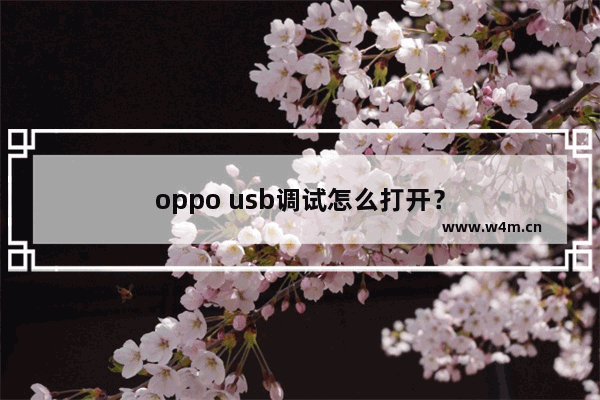 oppo usb调试怎么打开？