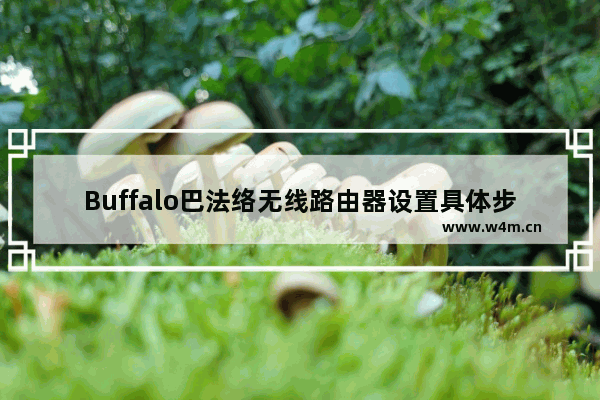 Buffalo巴法络无线路由器设置具体步骤