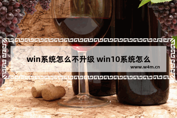 win系统怎么不升级 win10系统怎么不升级