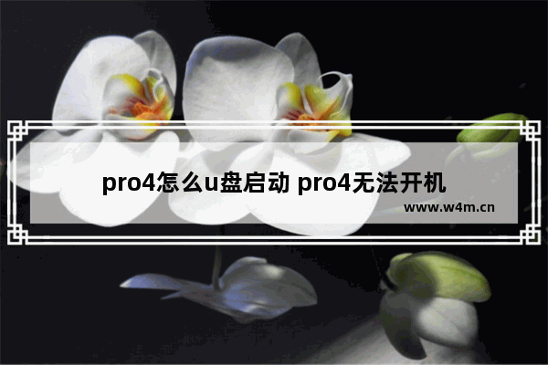 pro4怎么u盘启动 pro4无法开机