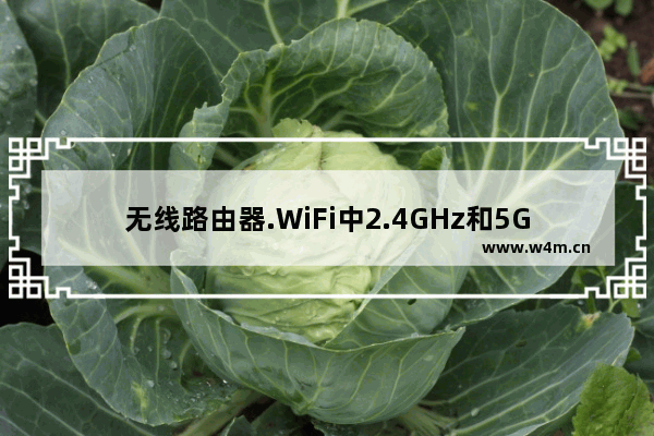 无线路由器.WiFi中2.4GHz和5GHz的区别