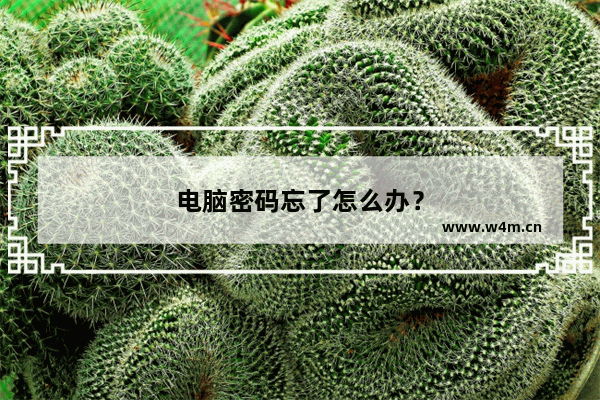 电脑密码忘了怎么办？