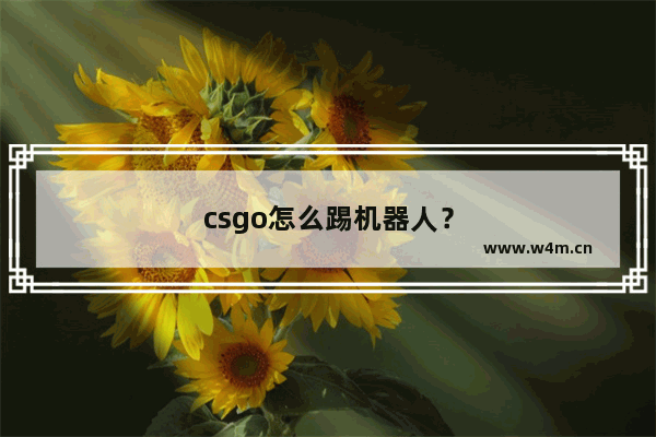 csgo怎么踢机器人？