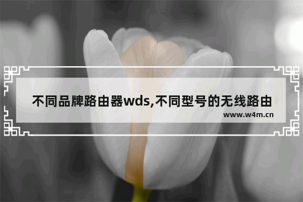 不同品牌路由器wds,不同型号的无线路由器能不能桥接在一起