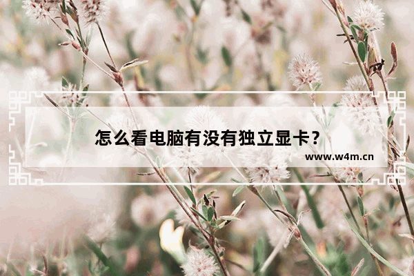 怎么看电脑有没有独立显卡？