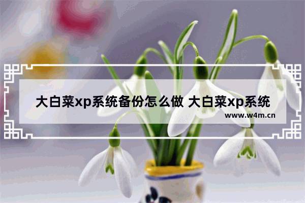 大白菜xp系统备份怎么做 大白菜xp系统备份怎么做出来的