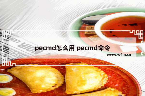 pecmd怎么用 pecmd命令