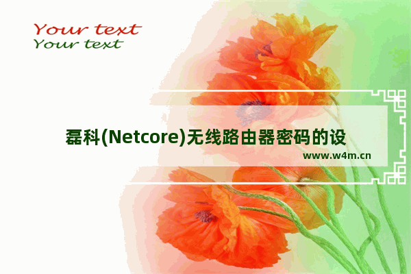 磊科(Netcore)无线路由器密码的设置方法