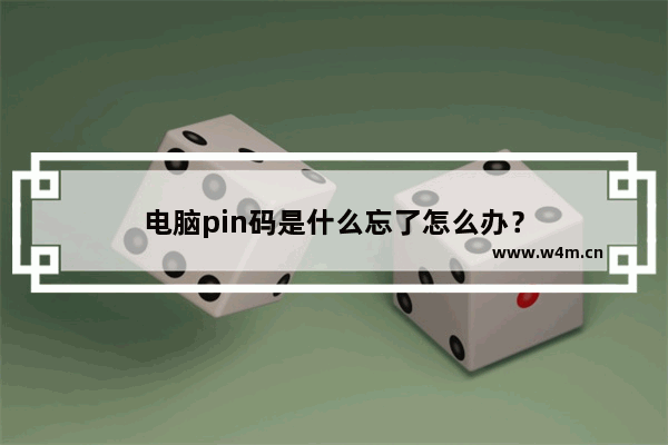 电脑pin码是什么忘了怎么办？