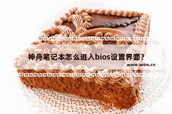 神舟笔记本怎么进入bios设置界面？