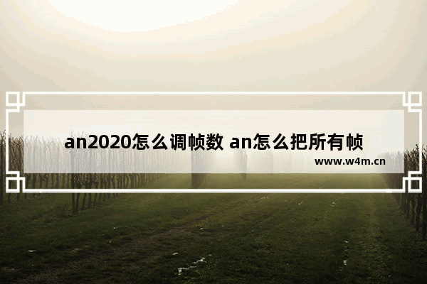 an2020怎么调帧数 an怎么把所有帧画面都缩小