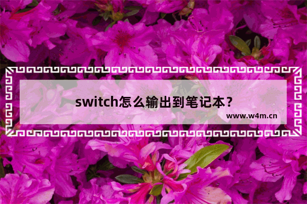 switch怎么输出到笔记本？