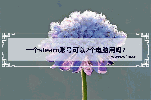 一个steam账号可以2个电脑用吗？