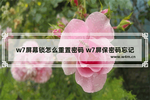 w7屏幕锁怎么重置密码 w7屏保密码忘记怎么办?