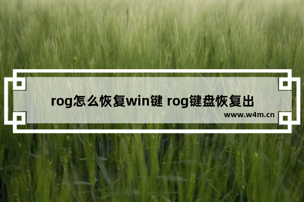 rog怎么恢复win键 rog键盘恢复出厂设置