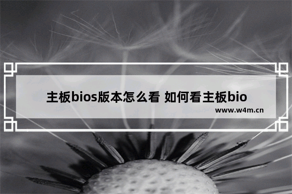 主板bios版本怎么看 如何看主板bios型号