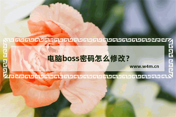 电脑boss密码怎么修改？