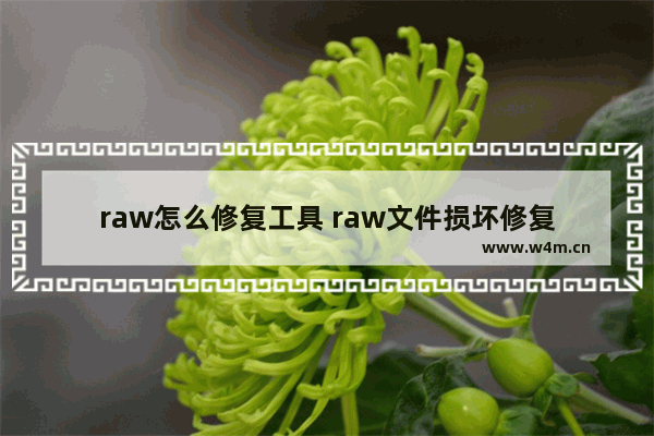 raw怎么修复工具 raw文件损坏修复