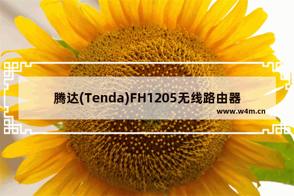 腾达(Tenda)FH1205无线路由器设置上网教程