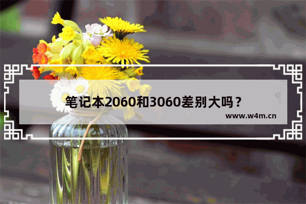 笔记本2060和3060差别大吗？