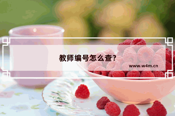 教师编号怎么查？