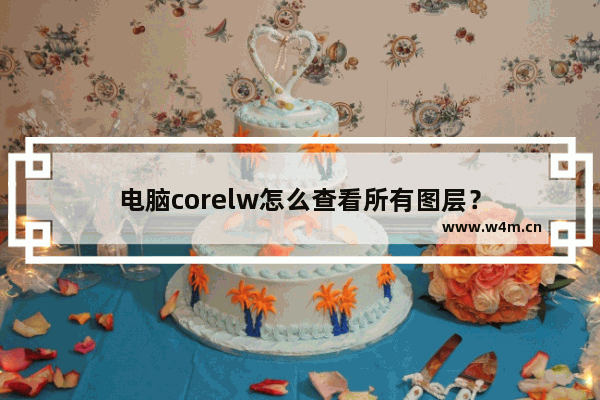 电脑corelw怎么查看所有图层？