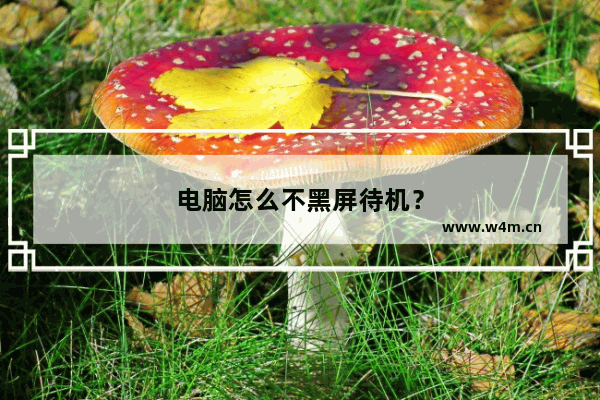 电脑怎么不黑屏待机？