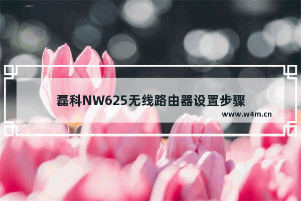 磊科NW625无线路由器设置步骤