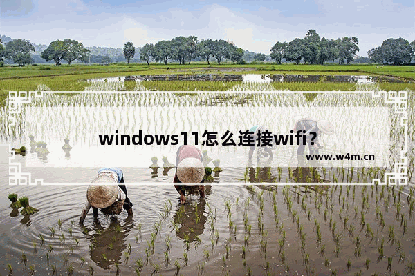 windows11怎么连接wifi？