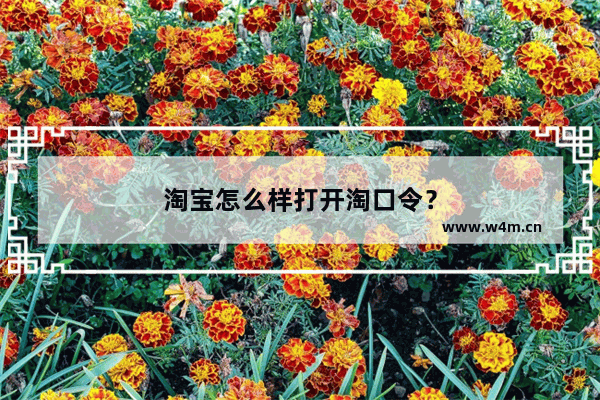 淘宝怎么样打开淘口令？