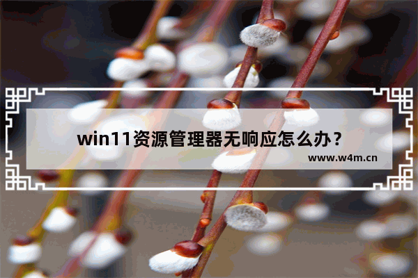 win11资源管理器无响应怎么办？