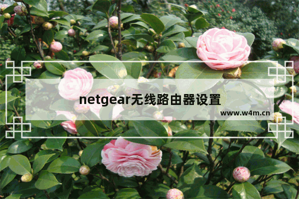 netgear无线路由器设置