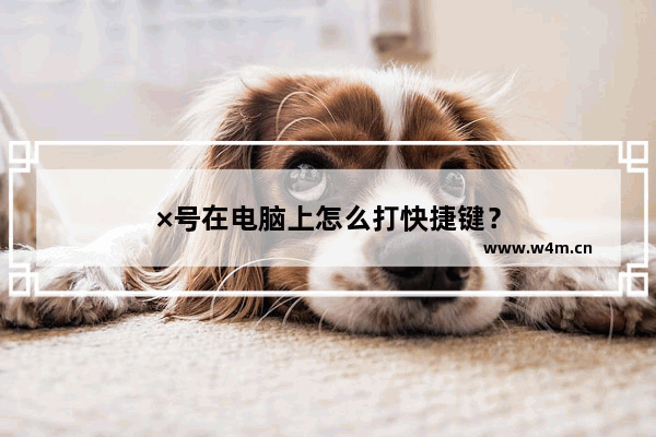 ×号在电脑上怎么打快捷键？