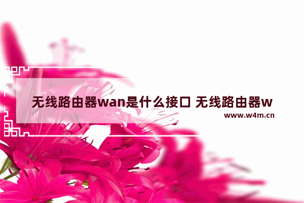 无线路由器wan是什么接口 无线路由器wan接口介绍【详解】