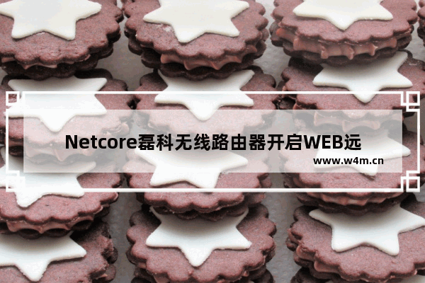 Netcore磊科无线路由器开启WEB远程管理设置