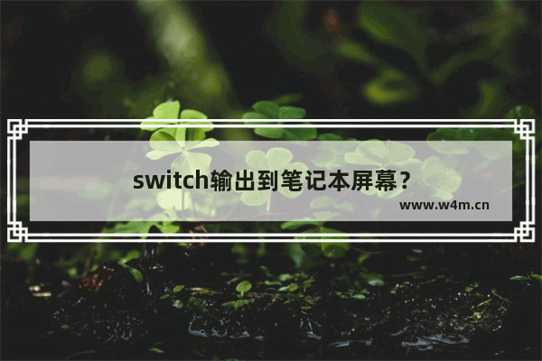 switch输出到笔记本屏幕？