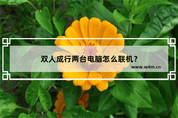 双人成行两台电脑怎么联机？