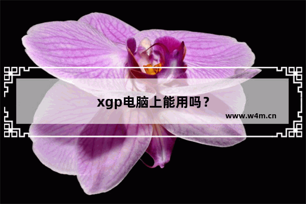 xgp电脑上能用吗？