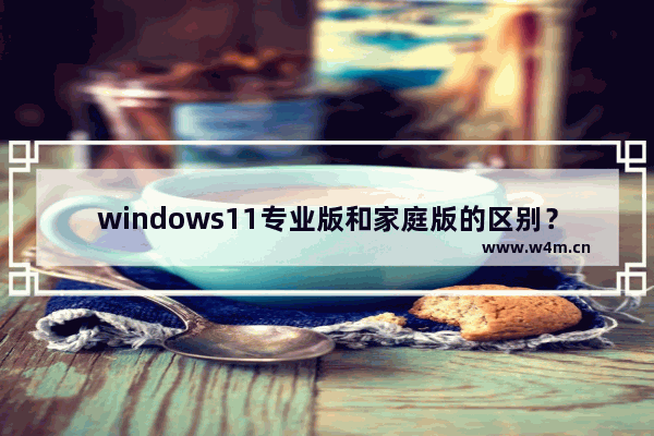 windows11专业版和家庭版的区别？