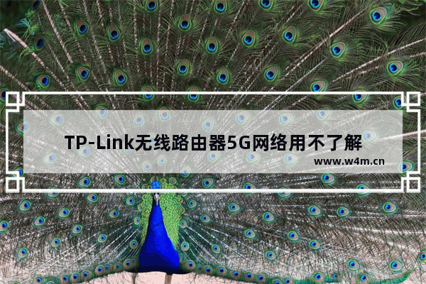 TP-Link无线路由器5G网络用不了解决方法