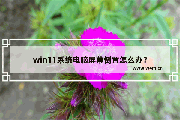 win11系统电脑屏幕倒置怎么办？