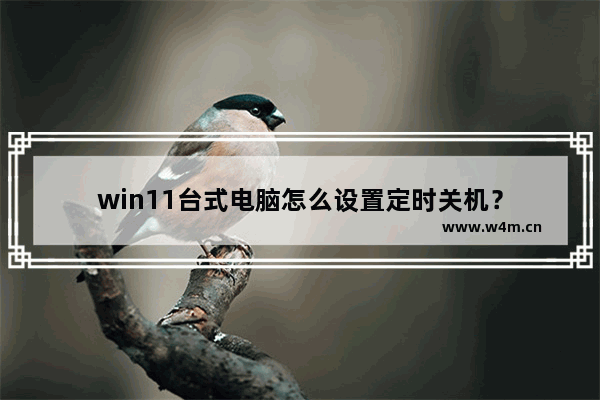 win11台式电脑怎么设置定时关机？