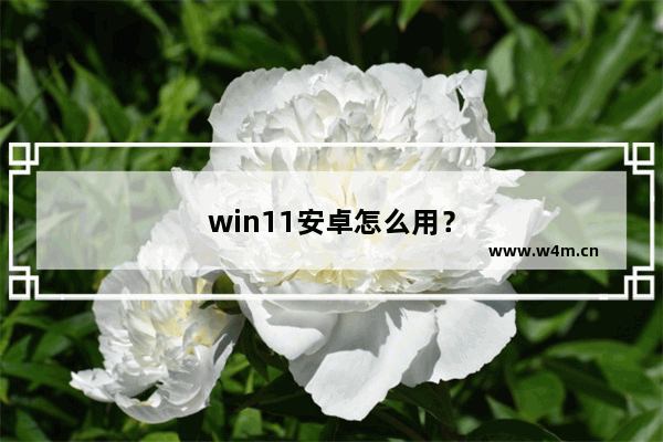 win11安卓怎么用？