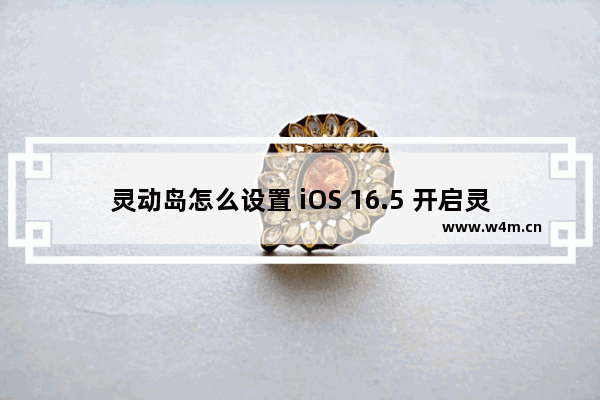 灵动岛怎么设置 iOS 16.5 开启灵动岛方法