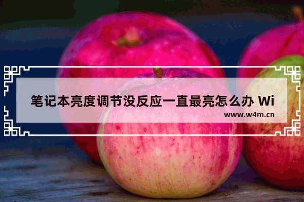 笔记本亮度调节没反应一直最亮怎么办 Win10系统电脑屏幕亮度不能调节的解决办法